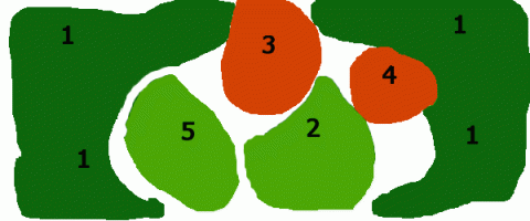 Gevorderden 60 - 120 (1)3